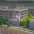 市川の大学合格実績2026、東大23人・早慶234人…医学部104人 画像