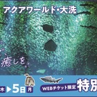 大洗水族館「東京都民の日」にあわせて割引キャンペーン 画像