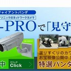 パナソニック、上野動物園のパンダをHD画質でライブ配信…一般公開中 画像