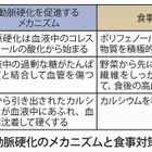 60歳の脳梗塞発症リスクは40歳の5倍、年末年始のリスク回避ポイントは？ 画像