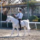 都内で手軽に乗馬体験「馬に親しむ日」…日本中央競馬会が開催 画像