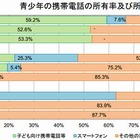 高校生の6割がネット上のトラブルを経験…内閣府調べ 画像