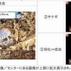 スマホ・タブレット向け図鑑6種…カブトムシの変態など 画像
