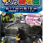 旭山動物園21時までの「夜の動物園」開催、抽選会や屋台も8/11-15 画像