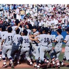 東京六大学野球2014春季リーグ、慶應義塾が6季ぶり34回目の優勝 画像