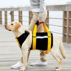 学生服のトンボがペット市場に参入、愛犬介護ブランド「with」設立 画像