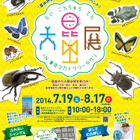 【夏休み】東京スカイツリータウン「大昆虫展」開催中、200匹のカブトムシと触れ合える 画像