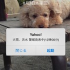 気象警報と避難情報のプッシュ通知機能を追加、Yahoo! JAPANアプリ 画像
