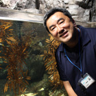 常夏のリゾートにペンギン!? 水族館の人気者の意外な生態 画像