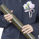 小学校卒業式、印象深いのは「卒業証書授与」…9割がJポップなど合唱 画像