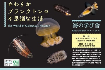 葛西臨海水族園、高校生・大学生対象講座5/31…プランクトンを学ぶ 画像