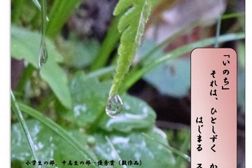 神奈川県「いのちの授業」作文募集…10/16まで 画像