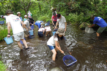 【夏休み】小2-6対象フィールドワーク「親子ではじめる川遊び」 画像