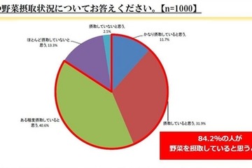 日本人はアメリカ人より野菜不足、摂取量低下が深刻化 画像