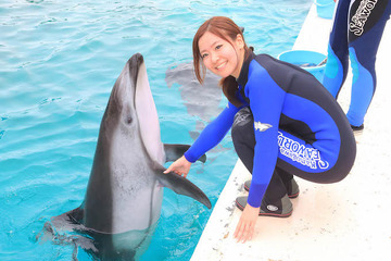 【夏休み】鴨川シーワールド「イルカのふれあい体験」参加受付中 画像