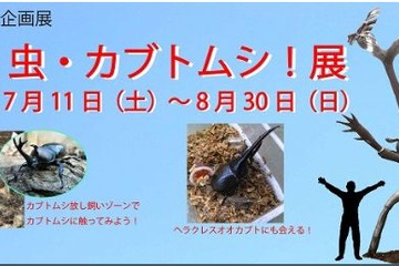 【夏休み】「むし・虫・カブトムシ！展」開催、 横浜・金沢動物園 画像