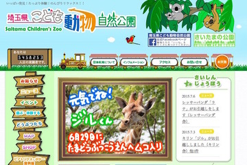 【夏休み】埼玉こども動物自然公園「ナイトズー2015」8月開催 画像