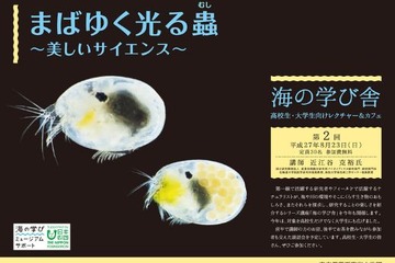 【夏休み】葛西臨海水族園、高校・大学生向け「海の学び舎」8/23 画像