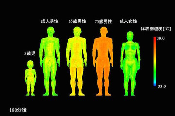 熱中症リスク評価技術開発…東北大・名工大・JWA 画像