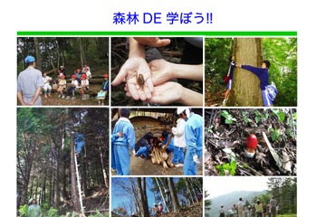 小中学校の総合学習「森林学習」参考用に事例集など、神奈川県が作成 画像