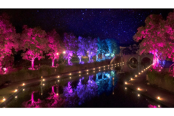 チームラボ、武雄市や新江ノ島水族館に“溶け込む”プロジェクト 画像