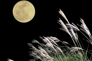 9/27 18時中継スタート！ 中秋の名月・スーパームーン・皆既月食 画像