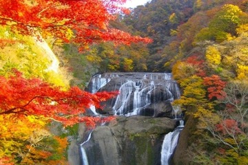 行楽シーズン到来、日本の滝ランキング発表 画像