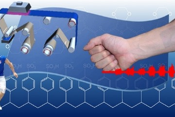 早大が「電子ナノ絆創膏」開発…筋肉の活動電位を測定 画像