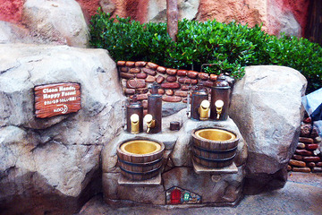 日本の人気スポットランキング2015、1位はやっぱりディズニー 画像