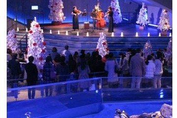 水族館でクリスマス！首都圏水族館イベントまとめ…ペンギン演奏会ほか 画像