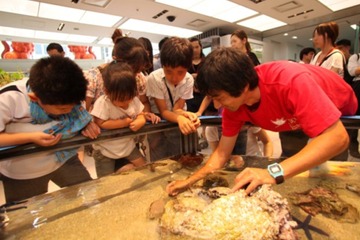銀座ソニービル、「44th SonyAquarium 3D沖縄美ら海水族館」8/31まで 画像