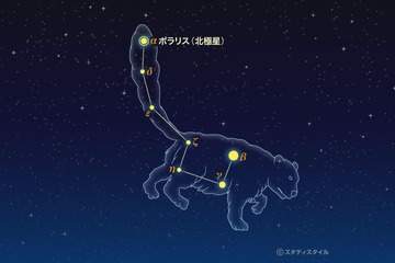 2015年の締めくくり、こぐま座流星群情報まとめ…「北」と12/23未明がチャンス 画像