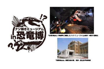 【GW2016】閉館後の博物館で貸切ナゾ解き！期間限定in恐竜博2016 画像