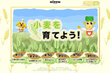 日本製粉、バーチャル体験もできる「小麦を育てよう！」 画像
