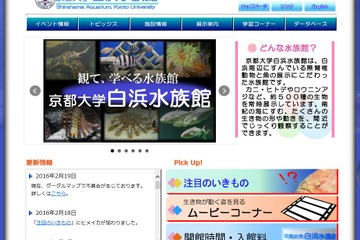 【春休み2016】京大白浜水族館「バックヤードツアー」他イベント3種 画像