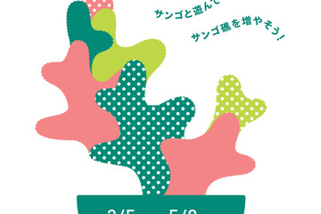 沖縄のサンゴ移植活動にも参加…すみだ水族館サンゴイベント3/5-5/8 画像
