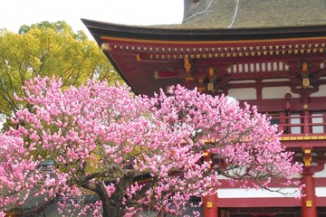 【高校受験2016】福岡県公立高校入試3/8…筑紫修学館がKBCで解答速報や問題解説情報 画像