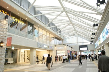 おだきゅう親子環境教室、小学生親子30組を5/30まで募集 画像