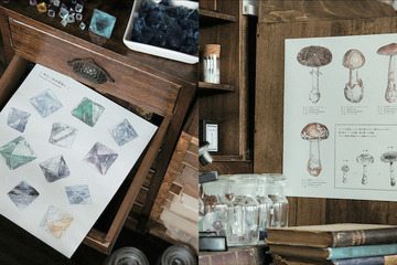 完成させて自分だけの図鑑に「鉱物と理科室のぬり絵」 画像