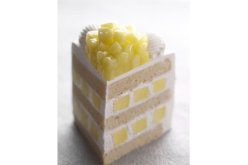 1日限定10個の贅沢すぎるメロンショート…パティスリーSATSUKI 画像