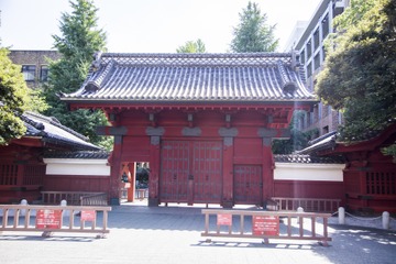10年で東大現役合格者を増やした高校は？トップ10に中高一貫ずらり 画像