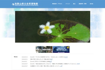 「金色に輝くハモ」が話題、和歌山県立自然博物館の子どもイベント情報 画像