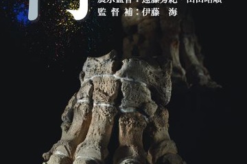 東大博物館が館外プロジェクト開催、モバイルミュージアム「骨を見る」 画像