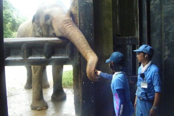 【夏休み2016】天王寺動物園「サマースクール」参加小学生募集 画像
