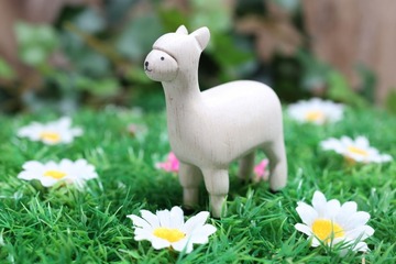 白くてモコモコ…盛岡市動物公園がアルパカの赤ちゃん愛称募集 画像