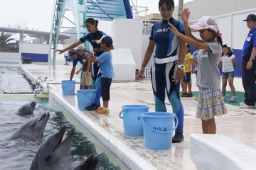 【夏休み2016】イルカやシャチと触れ合い、鴨シーのサマースクール7/25-8/3 画像