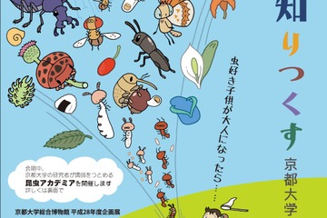 昆虫学の最前線を紹介、京大博物館「虫を知りつくす」7/13-10/23 画像