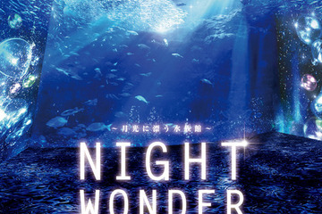 夏から冬まで…えのすい「ナイトワンダーアクアリウム」7/16開始 画像