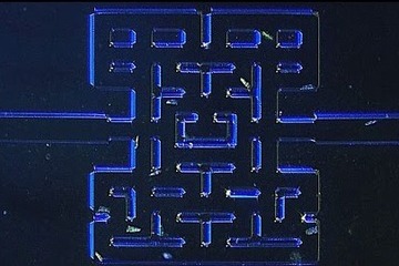 顕微鏡レベルで「パックマン」を再現、ノルウェーの大学による微生物研究 画像