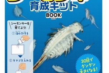 【夏休み2016】水道水だけで楽々、なつかしの「シーモンキー」育成キット 画像
